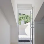 Lejlighed Luxus Santa Catarina